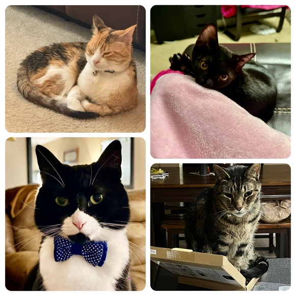 Meet your Posher, Dynamitelotus - Picture 13 of 14